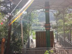 -芦仙山景区-飞越丛林探险乐园