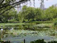 -郑州植物园