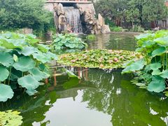 -国家植物园南园