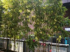 景观位-若蘭慈·无国界素食料理(欢乐海岸店)