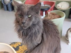 -平行世界·猫咖(首经贸店)