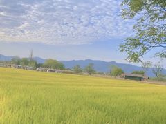 -良渚古城遗址公园