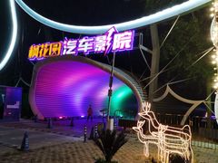 -枫花园汽车电影院(朝阳公园店)
