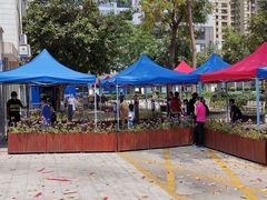 -深圳大学总医院