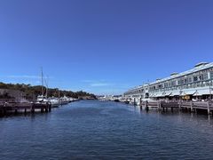 -麦考利夫人座椅