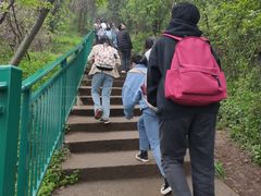 -合肥滨湖国家森林公园