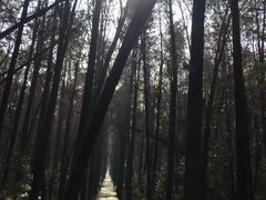 -同里国家湿地公园