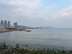 -小麦岛公园