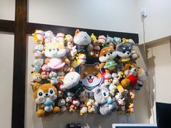 -逗柴咖啡屋·狗咖猫咖宠物桌游
