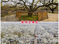 -皇藏峪国家森林公园