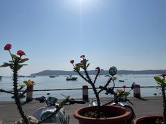 -花乐餐厅(涠洲岛店)