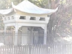 -白水寺森林公园