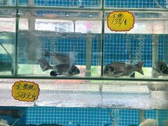 -祈胜邨•顺德鱼生•顺德菜(容桂店)