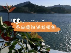 -望湖烤鱼
