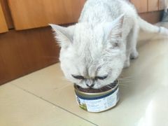 -佳雯宠物医院·皮肤科·内外科(春晓路分院)