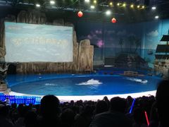 -华夏文旅海洋公园