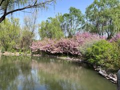-石家庄市植物园