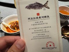 -阿五黄河大鲤鱼(英协路店)