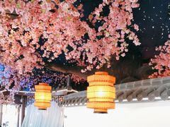 -荷塘秋月·本帮江浙菜(国权路店)