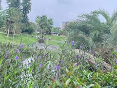 -枫香湖儿童公园