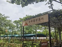 -盈香心动乐园