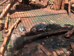 -昆明动物园