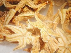 -圣罗巴海鲜烤肉自助(佳兆业店)