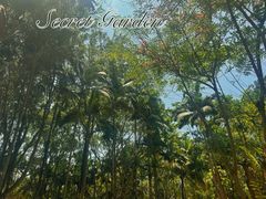 -西双版纳傣族园