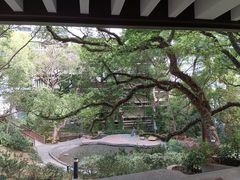 -香港大学