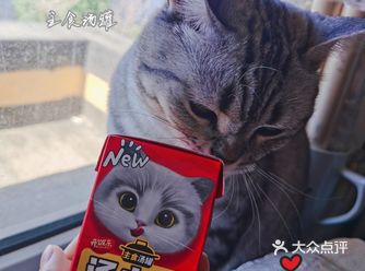 小九子喜提开饭乐汤小方