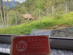 -土司宴