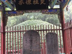 -武侯墓风景区