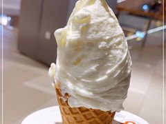 -野人先生现做冰淇淋(北京环宇荟店)