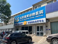 -北京观赏动物医院·24小时大型综合·猫专科·异宠专科