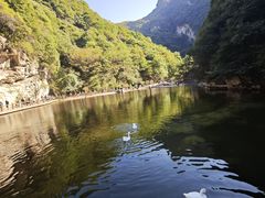 -少华山国家森林公园