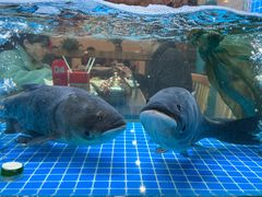 -浔味·山屿湖·正宗淳牌全鱼宴老字号