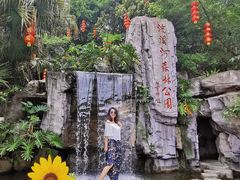 -广州市流溪河国家森林公园