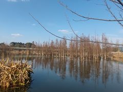 -白鹭湾湿地公园