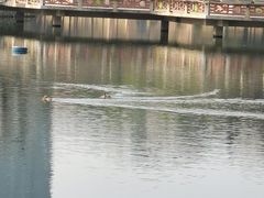 -深圳龙潭公园