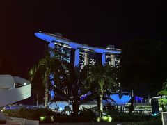 -新加坡文华东方酒店