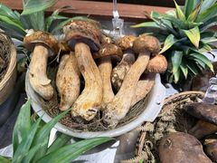 -滇铺子·云南特色菜·鲜花野菜季(东风东路c86店)