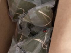 -星巴克(恒隆广场店)