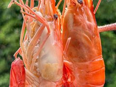 -品鲜村农家菜·阳澄湖大闸蟹(总店)