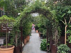 -The Grounds of Alexandria
