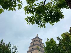 -大慈恩寺(大雁塔)