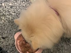 -J Create城市露营咖啡·简餐·宠物(上海动物园店)