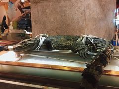 -海鼎荟海鲜姿造(仟禧汇店)