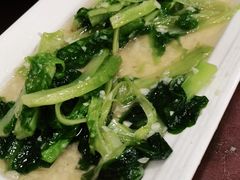 -糊涂兔毛毛菜(八里庄店)