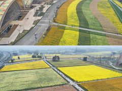 -中国天府农业博览园