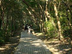 -紫金山山顶公园